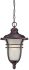 Montclair 18-inch Outdoor Hanging 1-Light Lantern in Architectural Bronze