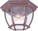 Flushmount Collection Ceiling-Mount 3-Light Outdoor Fixture in Burled Walnut