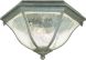 Outdoor 2-Light Ceiling Flush Mount in Black Coral