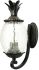 Lanai Collection Wall-Mount 2-Light Outdoor Fixture in Black Coral