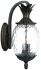 Lanai Collection Wall-Mount 3-Light Outdoor Black Coral Light Fixture