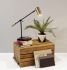 Collette Desk Lamp (Black & Antique Brass - AdessoCharge LED)