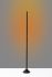 Cole Lampe de Plancher Éclairage Mural (Noir Mat - DEL Couleur Réglable)
