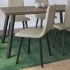 Watson Dining Chair (Beige with Black Base)
