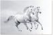 White Horses Running Portrait de Deux Chevaux 2 Pièces en Acrylique