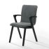 Cara Arm Chair (Set of 2 - Dark Grey)