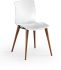 Evalyn Chair (Set of 2 - White and Walnut Legs)