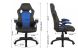 Ergonomic High-Back Executive Office Chair (Black & Blue)