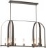 Triomphe 9-Light Linear Pendant (Dark Smoke & Frosted Glass)