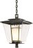 Beacon Hall Outdoor Ceiling Fixture (Coastal Dark Smoke & Clear Glass with Opal Diffuser)