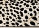 Claro Leopard Print Plush Rug (6 x 8 - Beige Black White)
