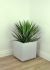 Yucca Rostrata (31 Inch - Green)