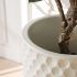 Tiger Planter (Matte Beige - Small - 14 In)