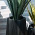 Tulip Planter (Granite Black - Small - 18 In)