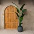 Wicker Planter (Aged Black - Small - 16 In)