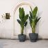 Mortar Planter (Rough Black - Small - 15 In)