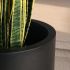 Roundbottom Planter (Matte Black - Large - 60 In)