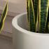 Roundbottom Planter (Matte Beige - Small - 18 In)