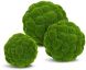 Moss Ball (12 Inch - Green)