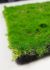 Moss Tile (2 Inch - Green)