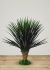 Yucca Rostrata (31 Inch - Green)