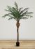 Phoenix Palm (96 Inch - Green)