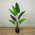 Travelers Palm (Green - 47 In)
