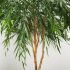 Willow Tree (Green - 60 In)