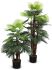 Fortune Palm Tree (Green - 55 In)