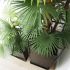 Fortune Palmtree (Green - 36 In)