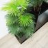 Fortune Palmtree (Green - 36 In)