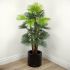 Fortune Palm Tree (Green - 55 In)