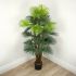 Fortune Palm Tree (Green - 55 In)