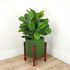Fiddle Leaf Fig Tree (Green - 30 In)