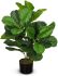 Fiddle Leaf Fig Tree (Green - 30 In)