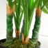 Monstera (Green - 48 In)