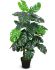Monstera (Green - 48 In)