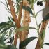 Olive Tree (Green - 52 In)