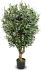 Olive Tree (Green - 52 In)