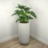 Philodendron (Green - 38 In)