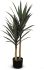 Yucca (Vert - 43 Po)