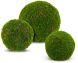 Moss Ball (10 Inch - Green)
