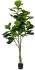 Fiddle Leaf Fig Tree (Green - 75 In)