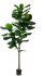 Fiddle Leaf Fig Tree (Green - 84 In)