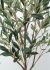 Olive Tree (72 Inch - Green)