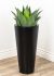 Agave  (22 Inch - Green)
