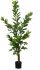 Artificial Botanical Lemon Tree (Green - 62 In)