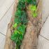Hanging Ivy (64 In)