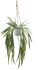 Hanging White Pandan (Hanging Ceramic Vase - 24 In)