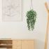 Hanging Boxwood Trailing Plant (Hanging Ceramic Vase - 22 In)